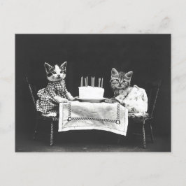 Cartão Postal Gatos Antigos em uma Festa de Aniversário