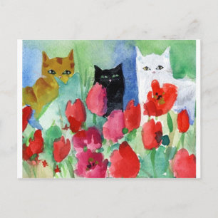 Cartão Postal Gatos bonito