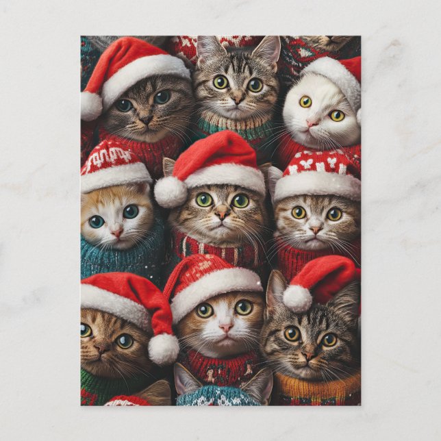 Cartão Postal Gatos bonitos em Santa Hats Feriados (Frente)