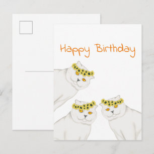 Cartão Postal Gatos brancos Feliz Aniversário