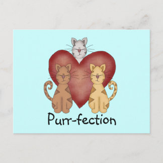 Cartão Postal Gatos Camisetas de Purr-fecção e presentes