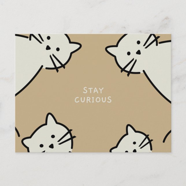 Cartão Postal Gatos Curiosos (Frente)