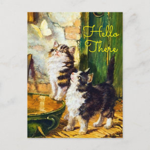 Cartão Postal Gatos Curiosos Vintage Borboleta Olá`