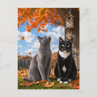 Cartão Postal Gatos da estação de outono sentados sob a árvore d