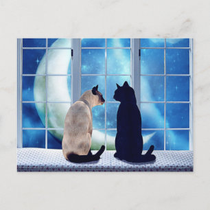 Cartão Postal Gatos da janela