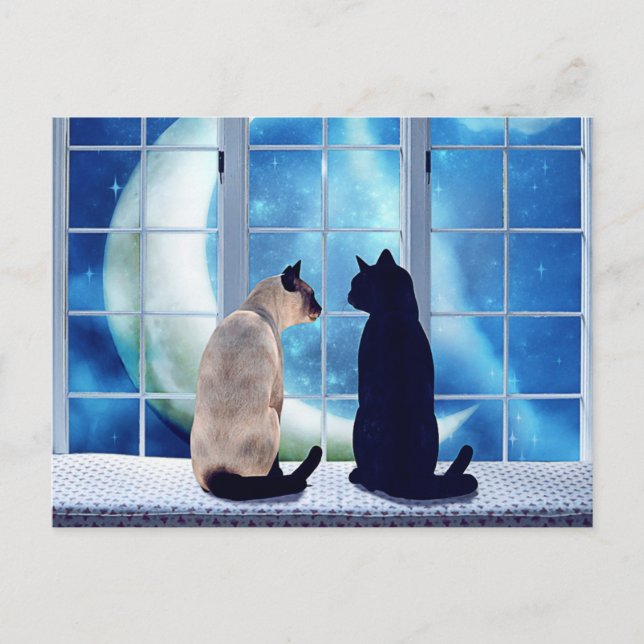 Cartão Postal Gatos da janela (Frente)