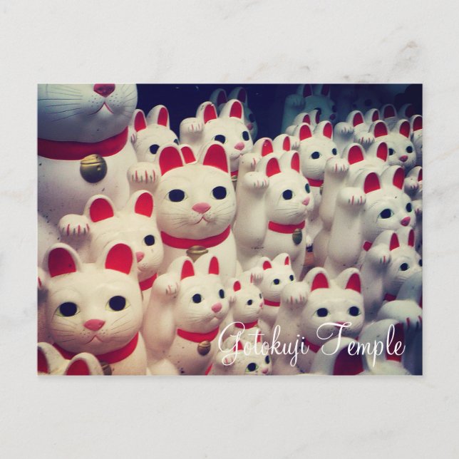 Cartão Postal Gatos da Sorte Maneki Neko do Templo Gotokuji (Frente)