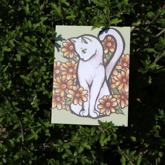 Cartão Postal Gatos de Daisy Flowers de Gato Branco (Criador carregado)