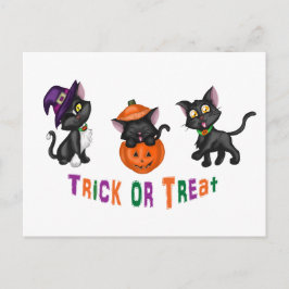 Cartão Postal Gatos de Dia das Bruxas