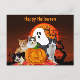 Cartão Postal Gatos de Halloween em Cemitério com Fantasma/Gato