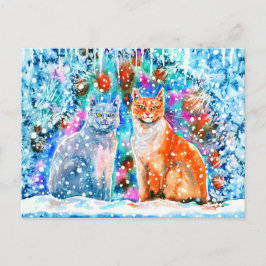Cartão Postal Gatos De Inverno