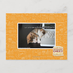 Cartão Postal Gatos de Lol com USB