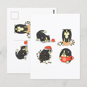 Cartão Postal Gatos de Natal bonitos e Engraçados