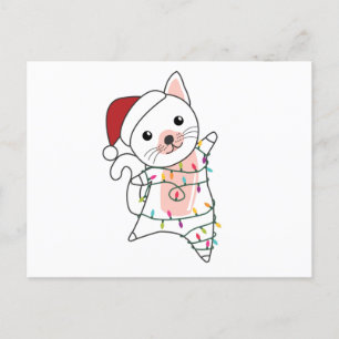 Cartão Postal Gatos De Noite De Natal