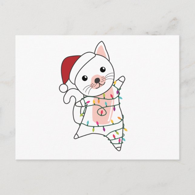 Cartão Postal Gatos De Noite De Natal (Frente)