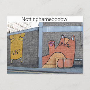 Cartão Postal Gatos De Nottingham