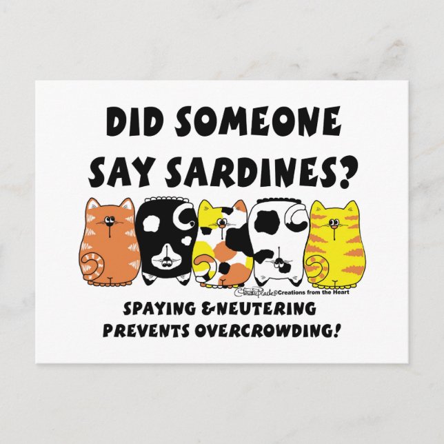Cartão Postal Gatos De Sardine (Frente)