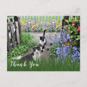 Cartão Postal Gatos de Smoking Preto e Branco no Jardim Obrigado