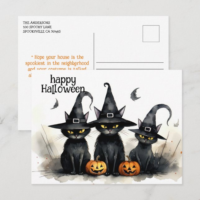 Cartão Postal Gatos de Testemunha de Cores Molhosos Pumpkins Hal (Frente/Verso)