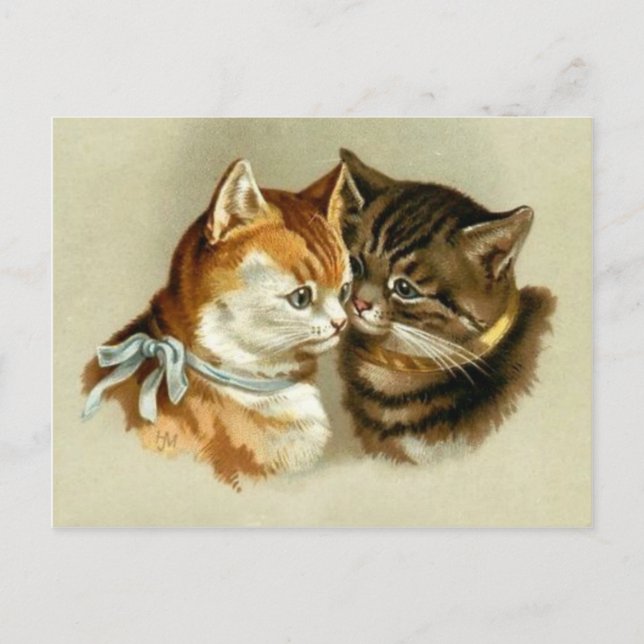 Cartão Postal Gatos De Vintagem Cons (Frente)