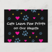 Gatos deixam impressões de pata em nossos corações