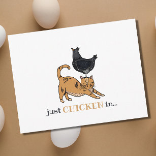 Cartão Postal Gatos e Frangos Engraçados Apenas Checando Cartaz