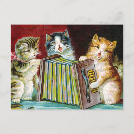 Cartão Postal "Gatos e um Squeezebox"