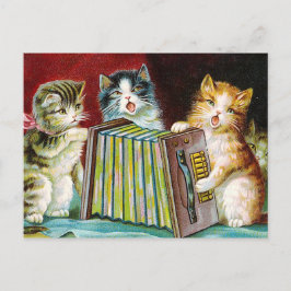 Cartão Postal "Gatos e um Squeezebox"