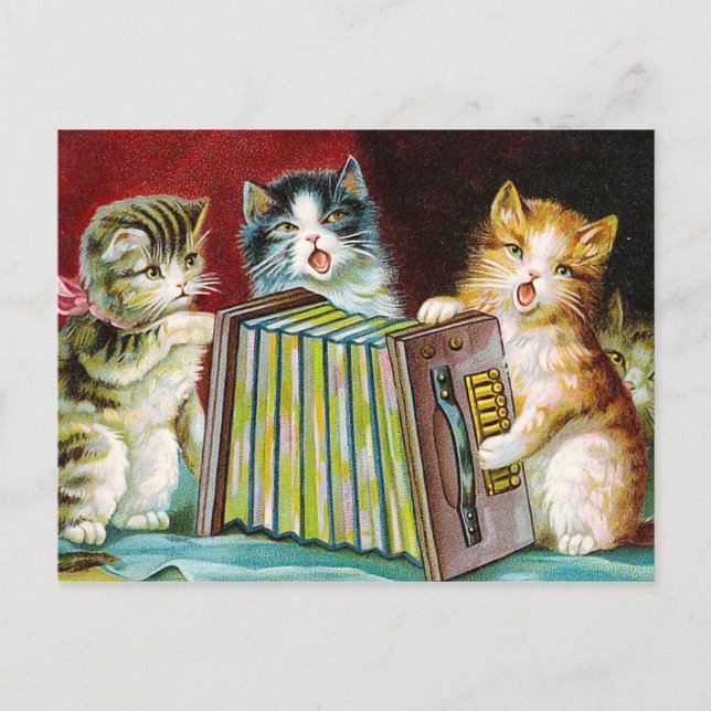 Cartão Postal "Gatos e um Squeezebox" (Frente)