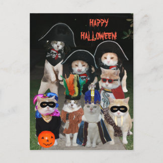 Cartão Postal Gatos Engraçados Prowing no Halloween
