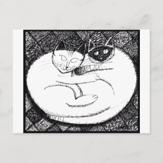 Cartão Postal Gatos Espetaculares 3