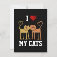 Gatos: Eu Amo Meus Gatos