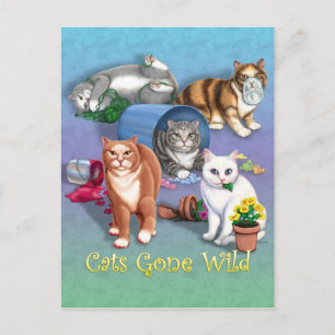 Cartão Postal Gatos Ficaram Selvagens