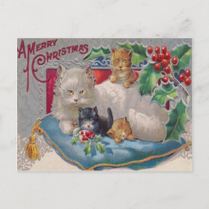 Cartão Postal Gatos & Holly
