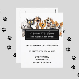 Cartão Postal Gatos Loucos Engraçados Cães Pet Sitter Brancos Mo
