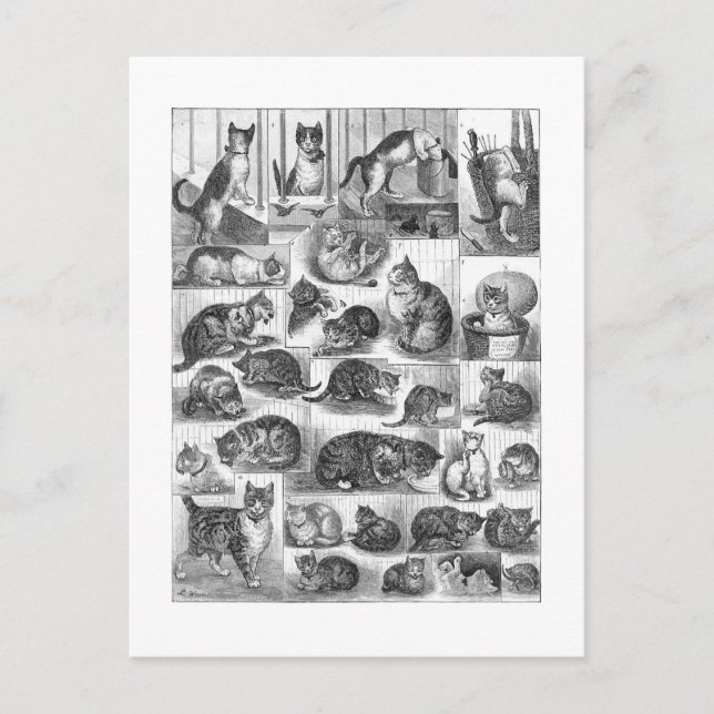 Cartão Postal Gatos, Louis Wain (Frente)