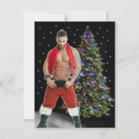 Gatos Mais Gatos do Planeta! Hora da Igualdade!