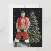 Gatos Mais Gatos do Planeta! Hora da Igualdade!