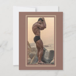 Cartão Postal Gatos Mais Gostosões do Planeta! Hora da Igualdade