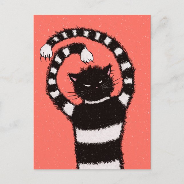 Cartão Postal Gatos Maus Flocos de Neve de Inverno (Frente)