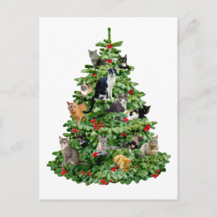 Cartão Postal Gatos na Árvore