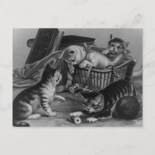 Cartão Postal Gatos na cesta de costura