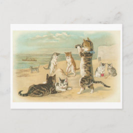 Cartão Postal "Gatos na praia"