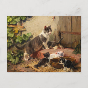 Cartão Postal Gatos na Tigela de Leite   Julius Adam, o Jovem