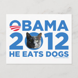 Cartão Postal Gatos Para Obama