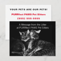 Gatos Prateados Tabby Folheto de Cuidador de Anima