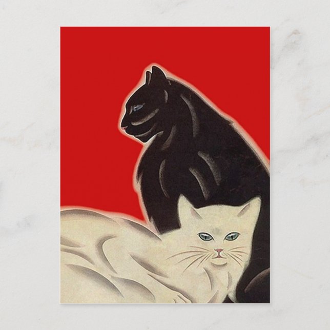 Cartão postal Gatos preto e branco em estilo Art D (Frente)
