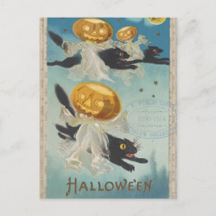 Cartão Postal Gatos Pretos do Halloween e Abóbora Fantasmas Vint