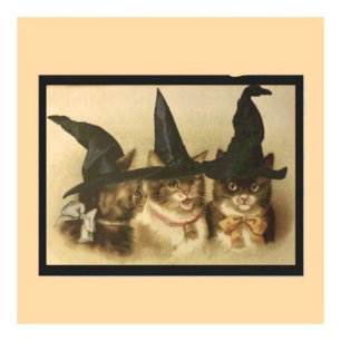 Cartão Postal Gatos Pretos Vintage de Halloween