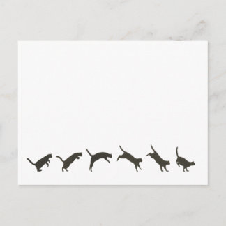 Cartão Postal Gatos Pulando